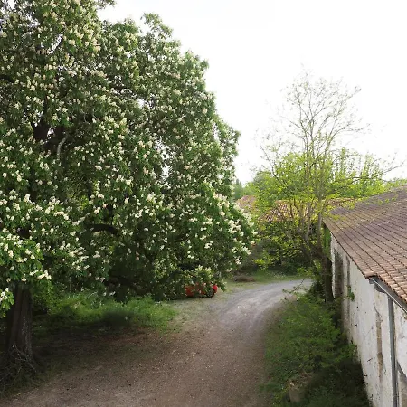 Dom wakacyjny Chateau De Parancay - 15 People